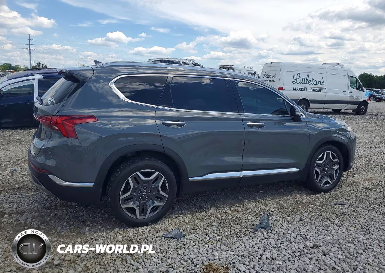 2021 Hyundai Santa Fe Limited VIN:5NMS44AL6MH333399 - 3