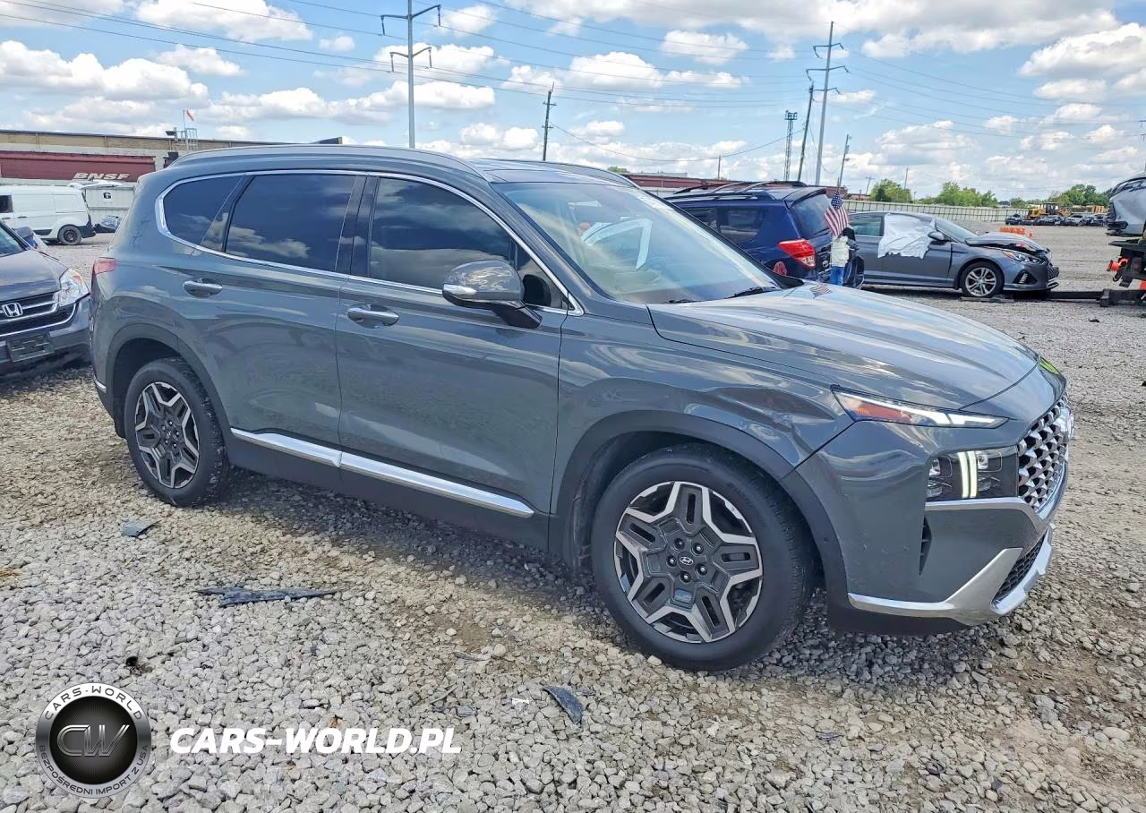 2021 Hyundai Santa Fe Limited VIN:5NMS44AL6MH333399 - 4