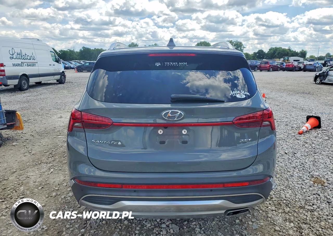 2021 Hyundai Santa Fe Limited VIN:5NMS44AL6MH333399 - 6