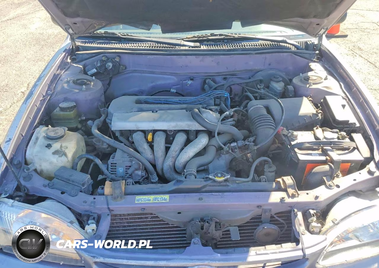 1998 Toyota Corolla Ve VIN:1NXBR12E0WZ025071 - 11