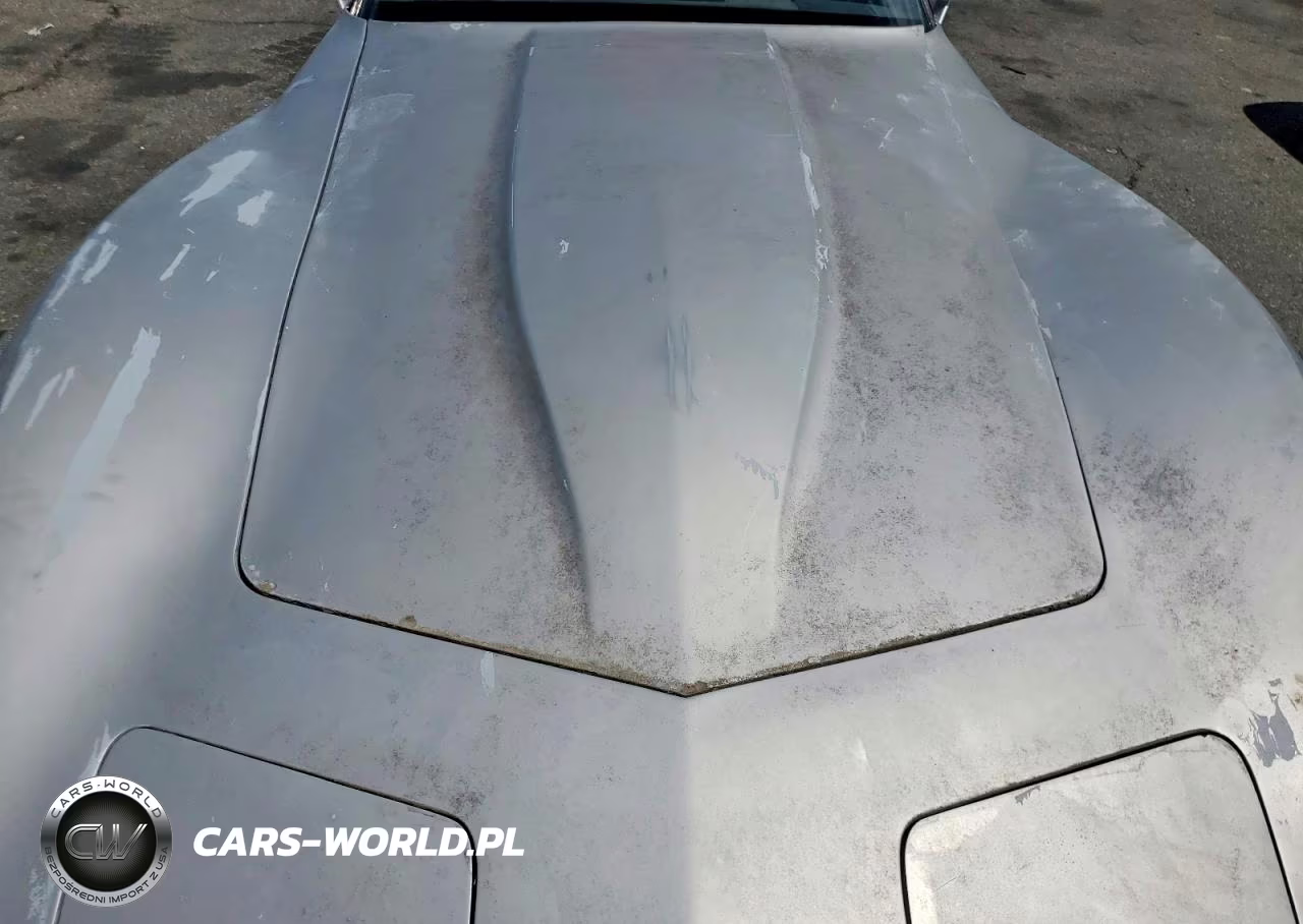 1982 Chevrolet Corvette VIN:1G1AY8784C5119838 - 11
