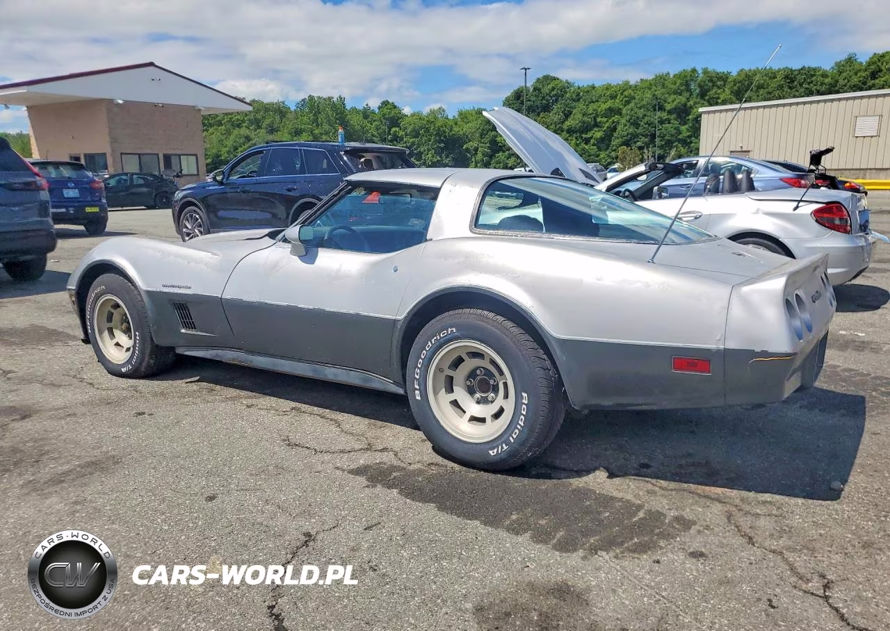 1982 Chevrolet Corvette VIN:1G1AY8784C5119838 - 2