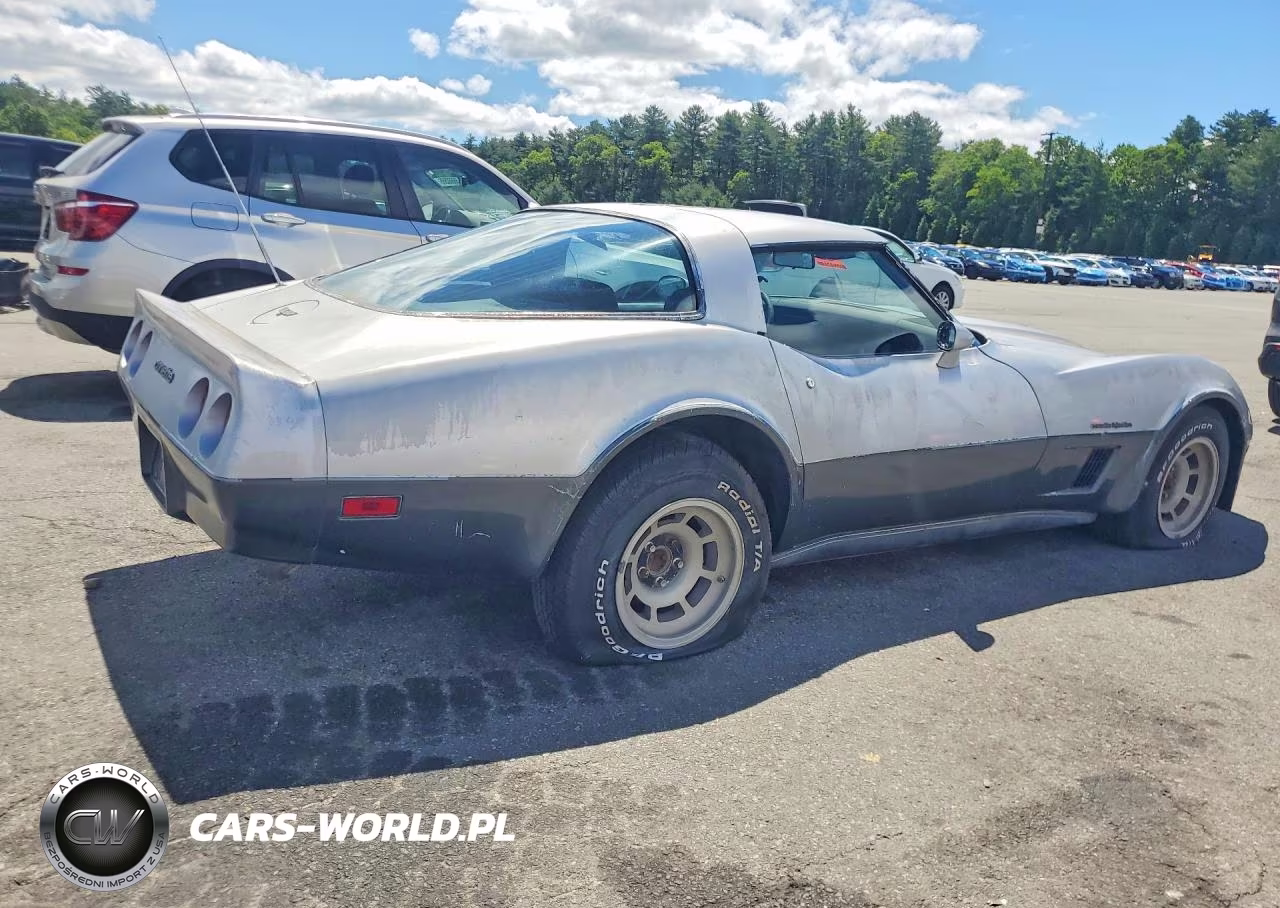 1982 Chevrolet Corvette VIN:1G1AY8784C5119838 - 3
