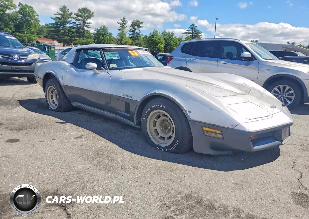 1982 Chevrolet Corvette VIN:1G1AY8784C5119838 - 4