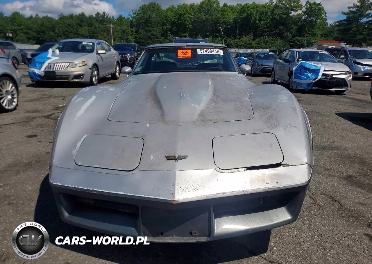 1982 Chevrolet Corvette VIN:1G1AY8784C5119838 - 5