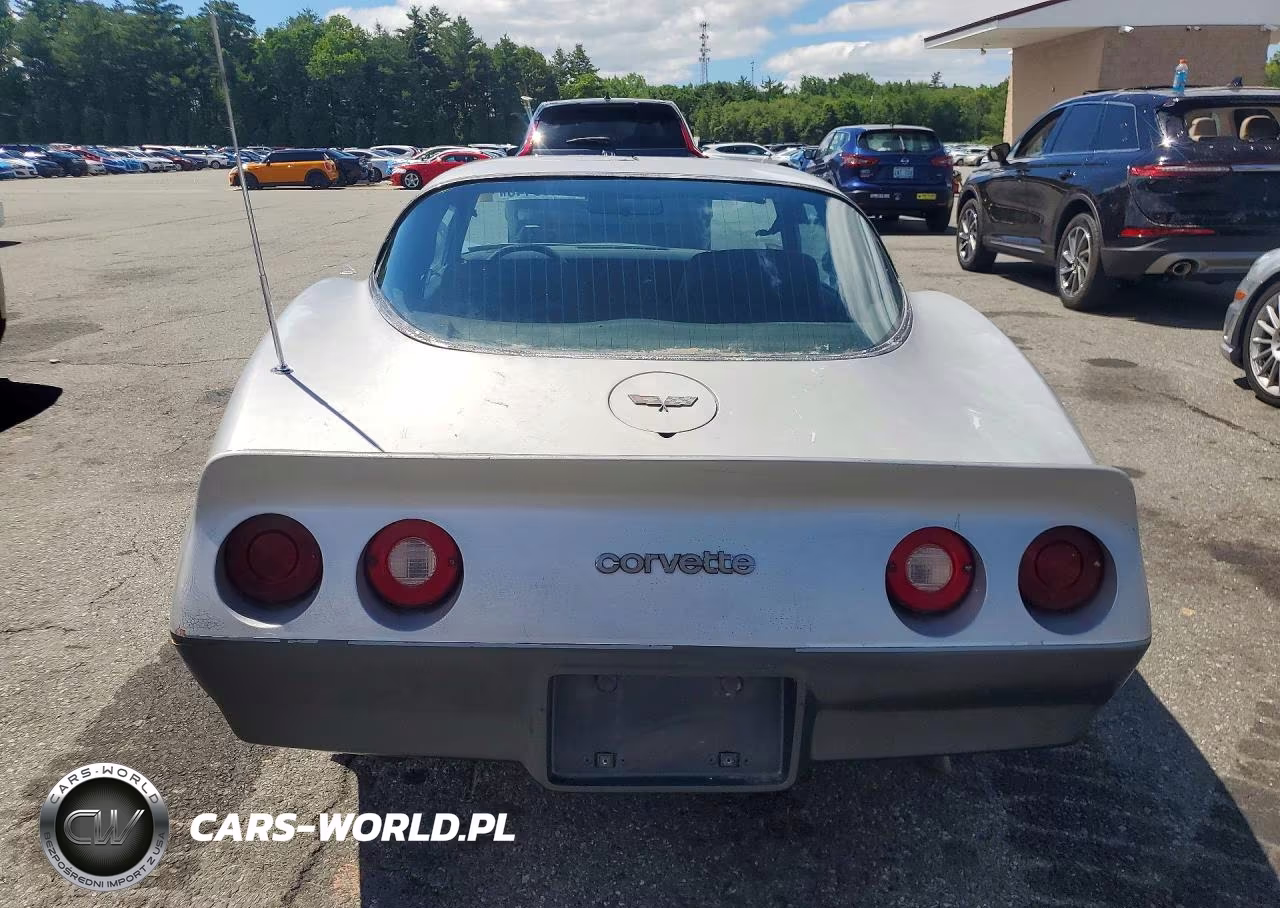 1982 Chevrolet Corvette VIN:1G1AY8784C5119838 - 6
