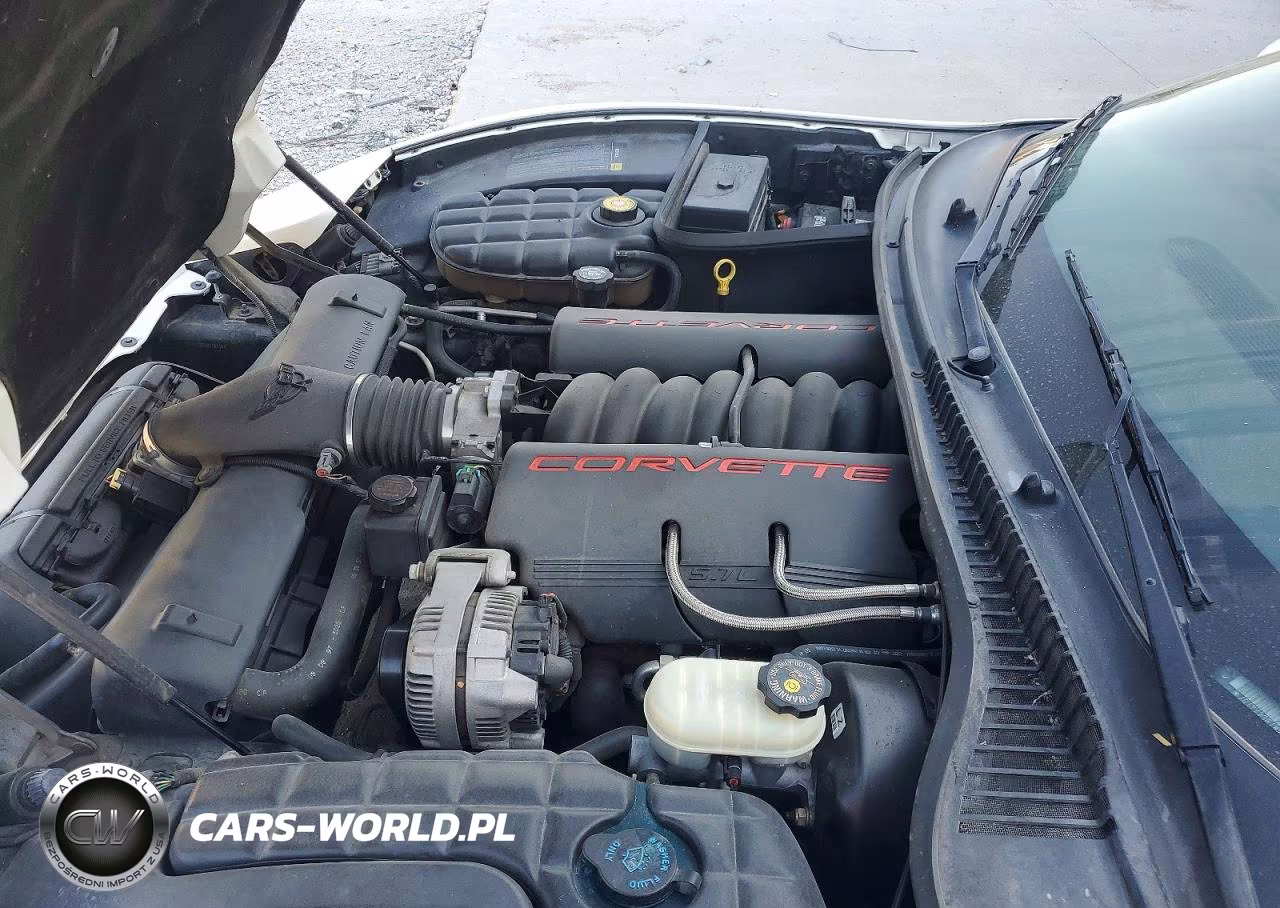 1998 Chevrolet Corvette VIN:1G1YY32G1W5107165 - 11