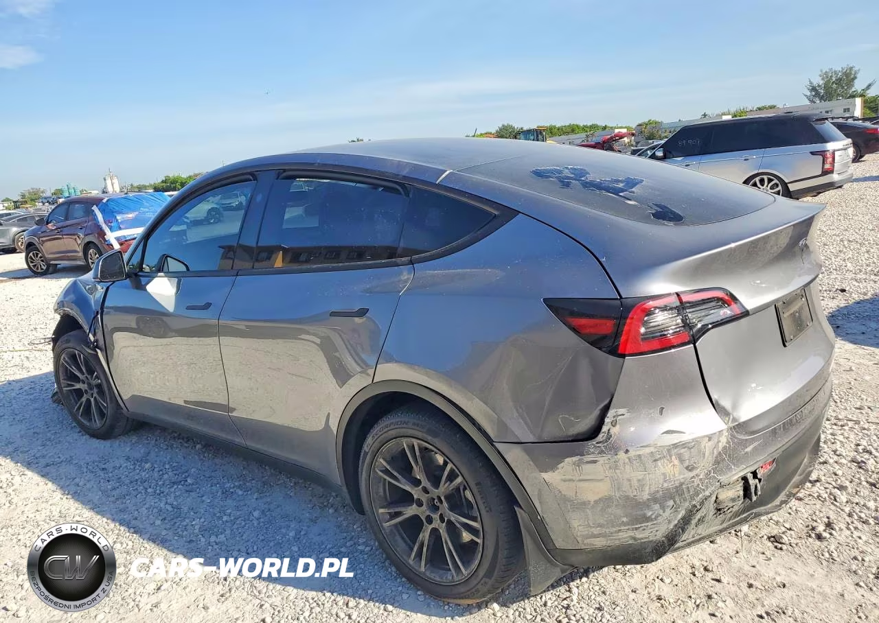 2025 Tesla Model Y VIN:7SAYGDED6SF256667 - 2