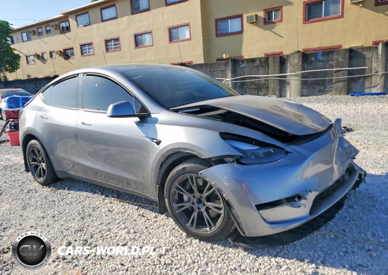 2025 Tesla Model Y VIN:7SAYGDED6SF256667 - 4