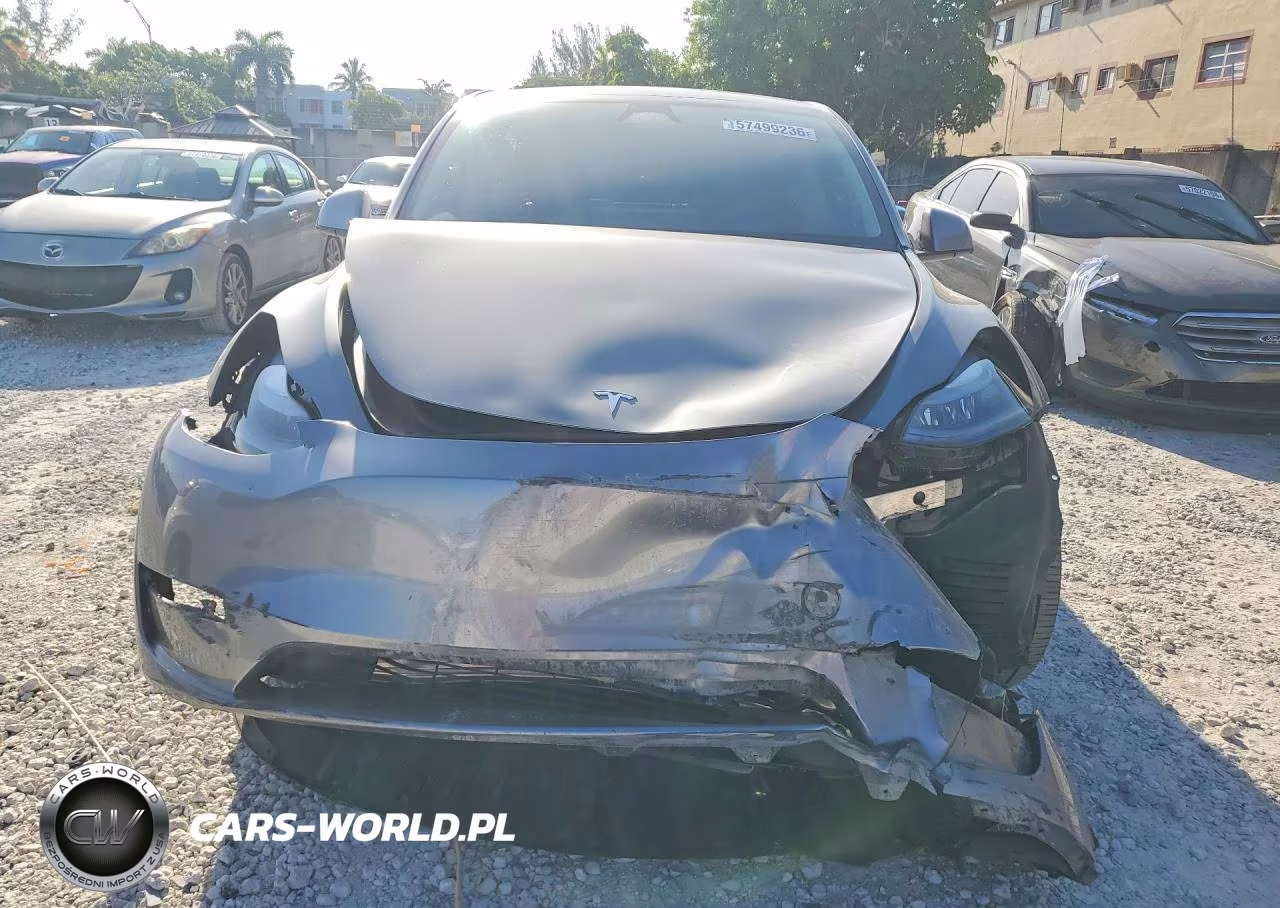 2025 Tesla Model Y VIN:7SAYGDED6SF256667 - 5