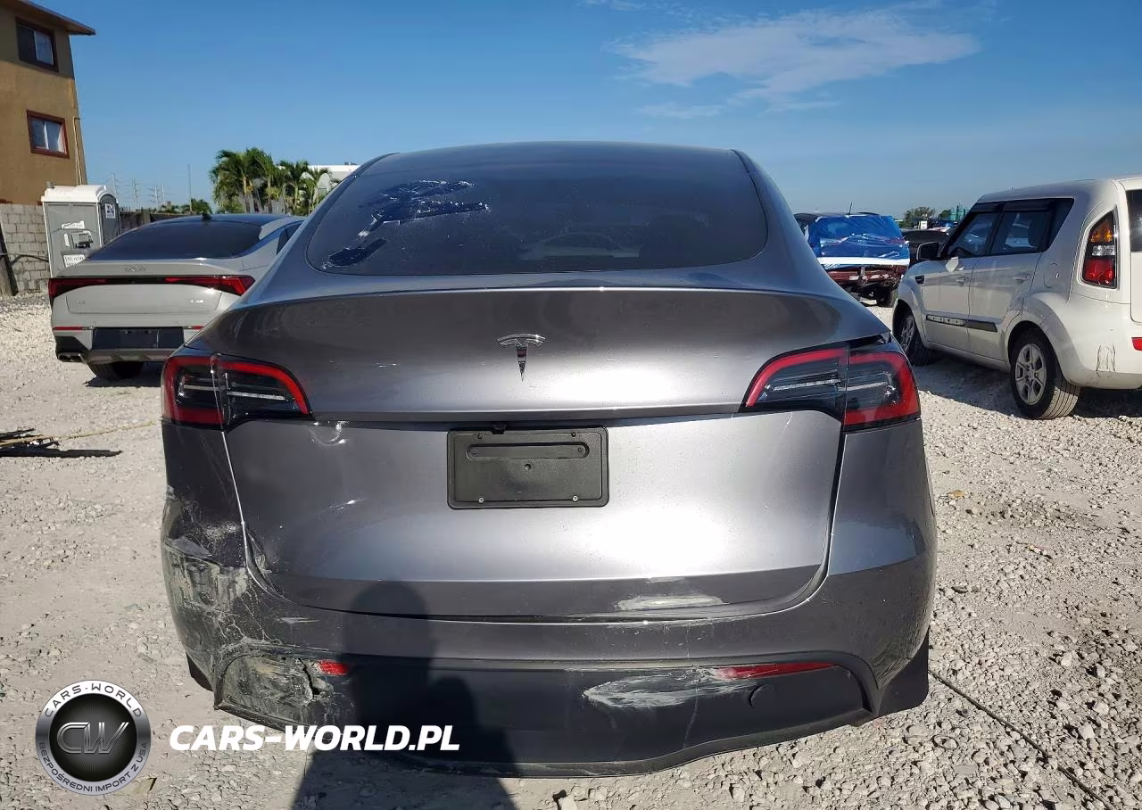 2025 Tesla Model Y VIN:7SAYGDED6SF256667 - 6