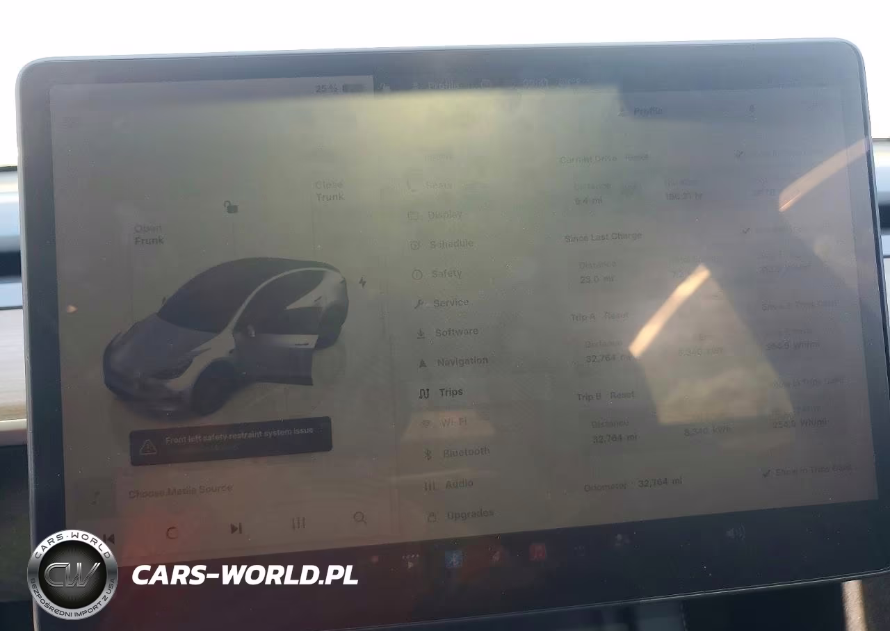 2025 Tesla Model Y VIN:7SAYGDED6SF256667 - 9