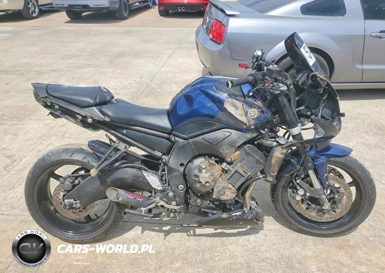 2013 Yamaha Fz1 S
