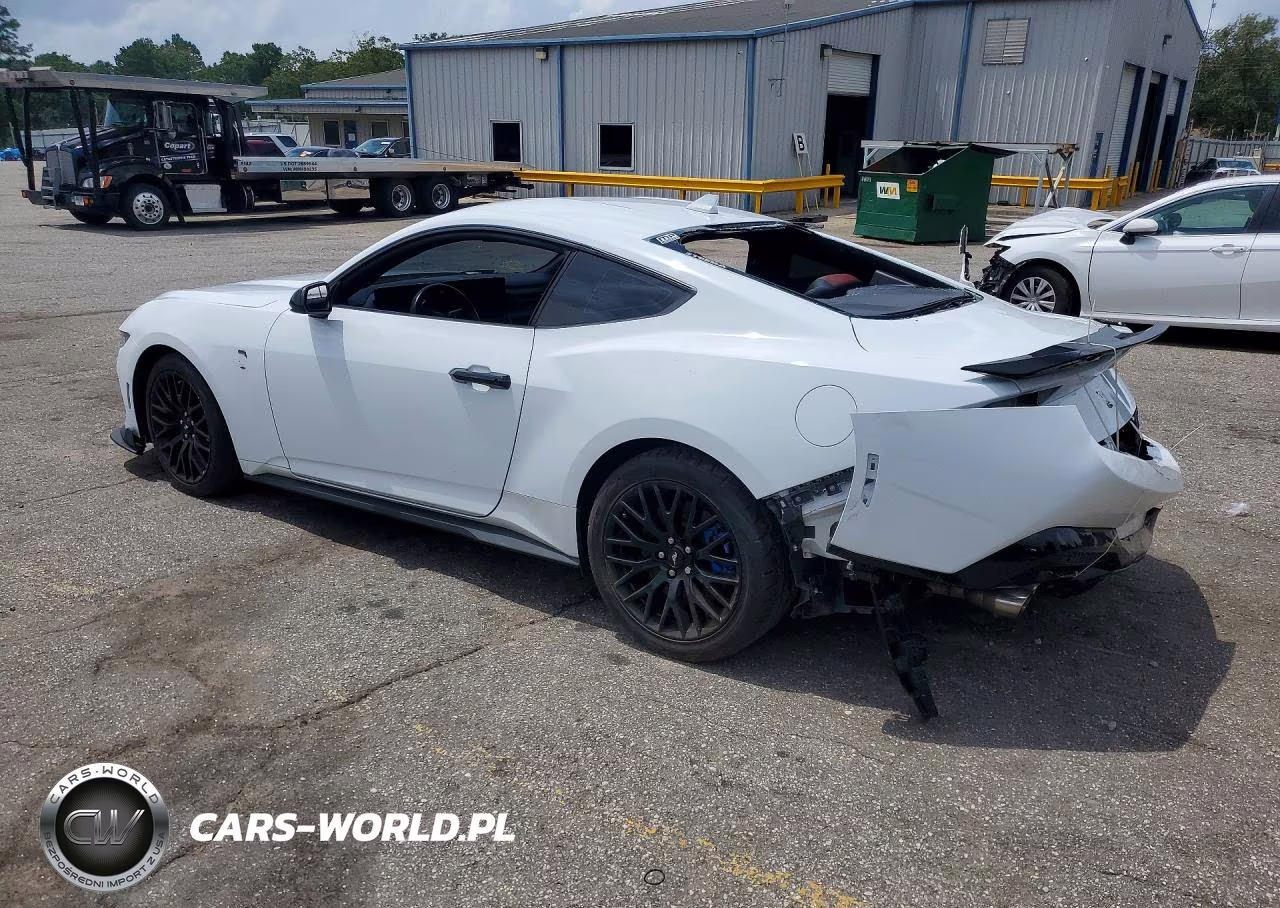 2024 Ford Mustang Gt VIN:1FA6P8CF8R5411396 - 2