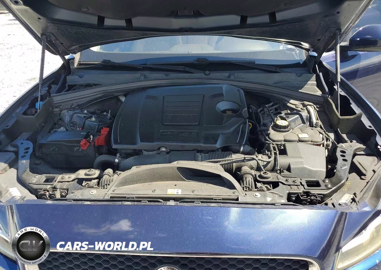 2018 Jaguar F-Pace Prestige VIN:SADCK2FX0JA266724 - 12
