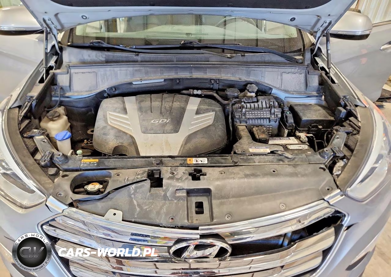 2014 Hyundai Santa Fe Gls VIN:KM8SNDHF2EU075479 - 12