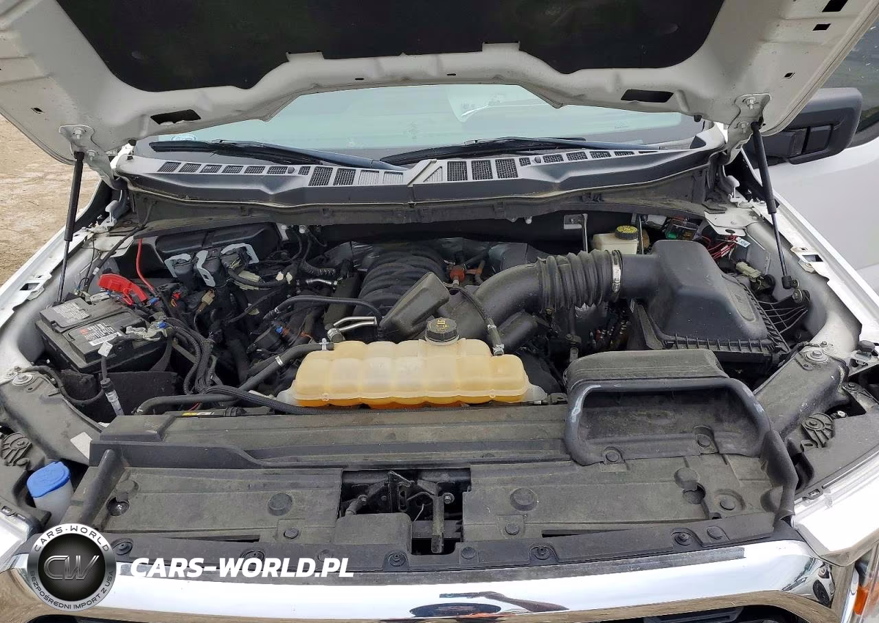 2021 Ford F150 Supercrew VIN:1FTFW1E57MKE34719 - 11