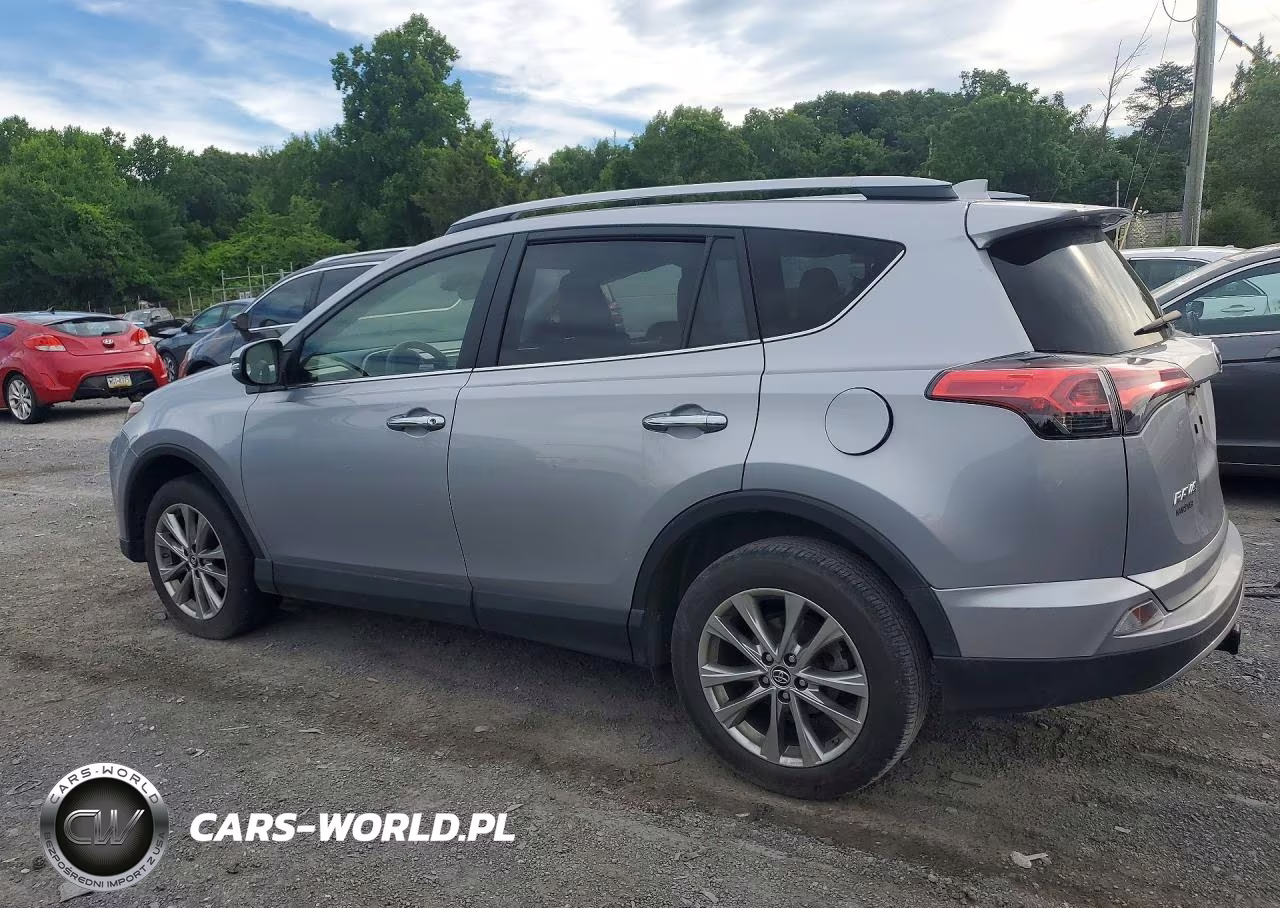 2018 Toyota Rav4 Limited VIN:JTMDFREV1JD239463 - 2