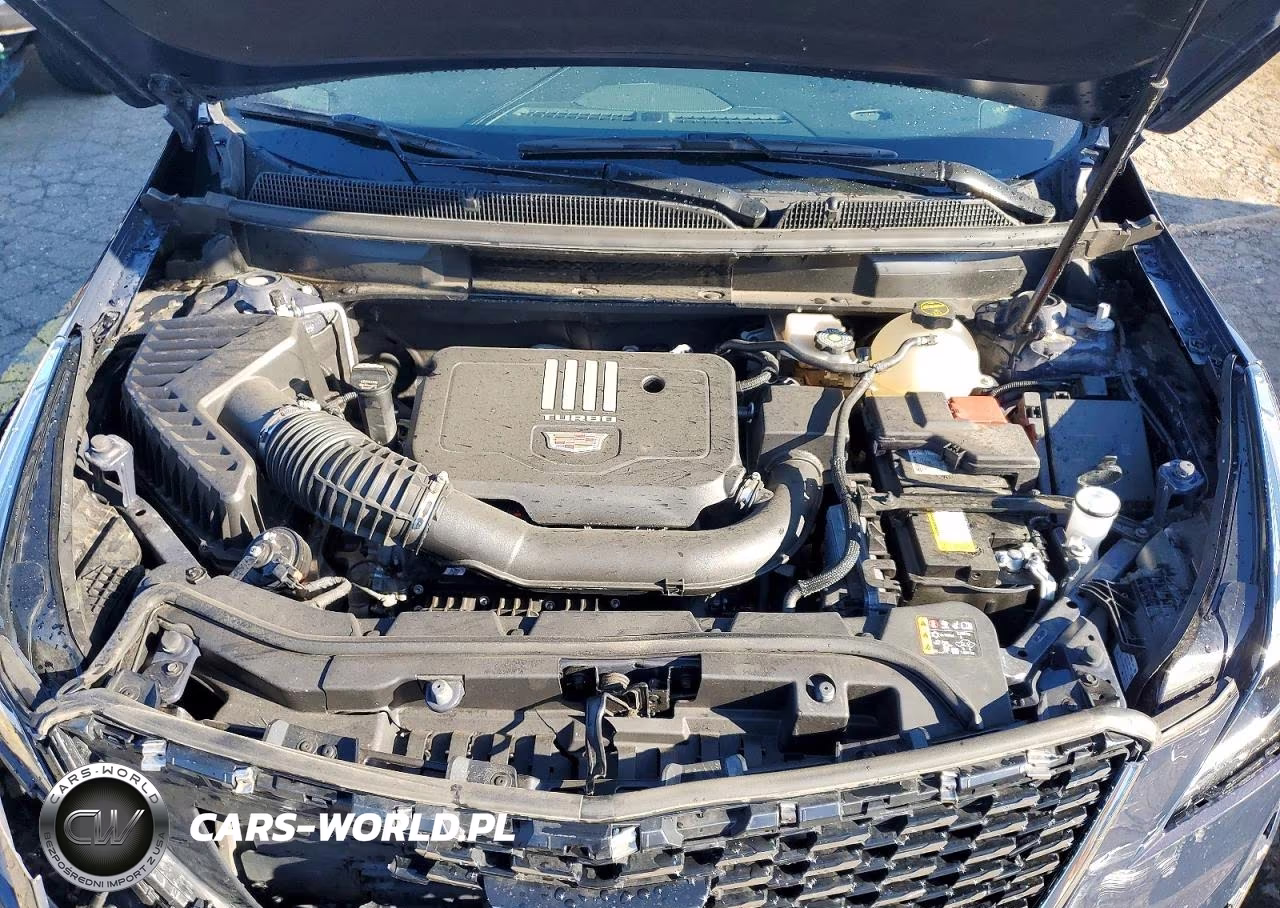 2024 Cadillac Xt5 Premium Luxury VIN:1GYKNDR40RZ759080 - 12