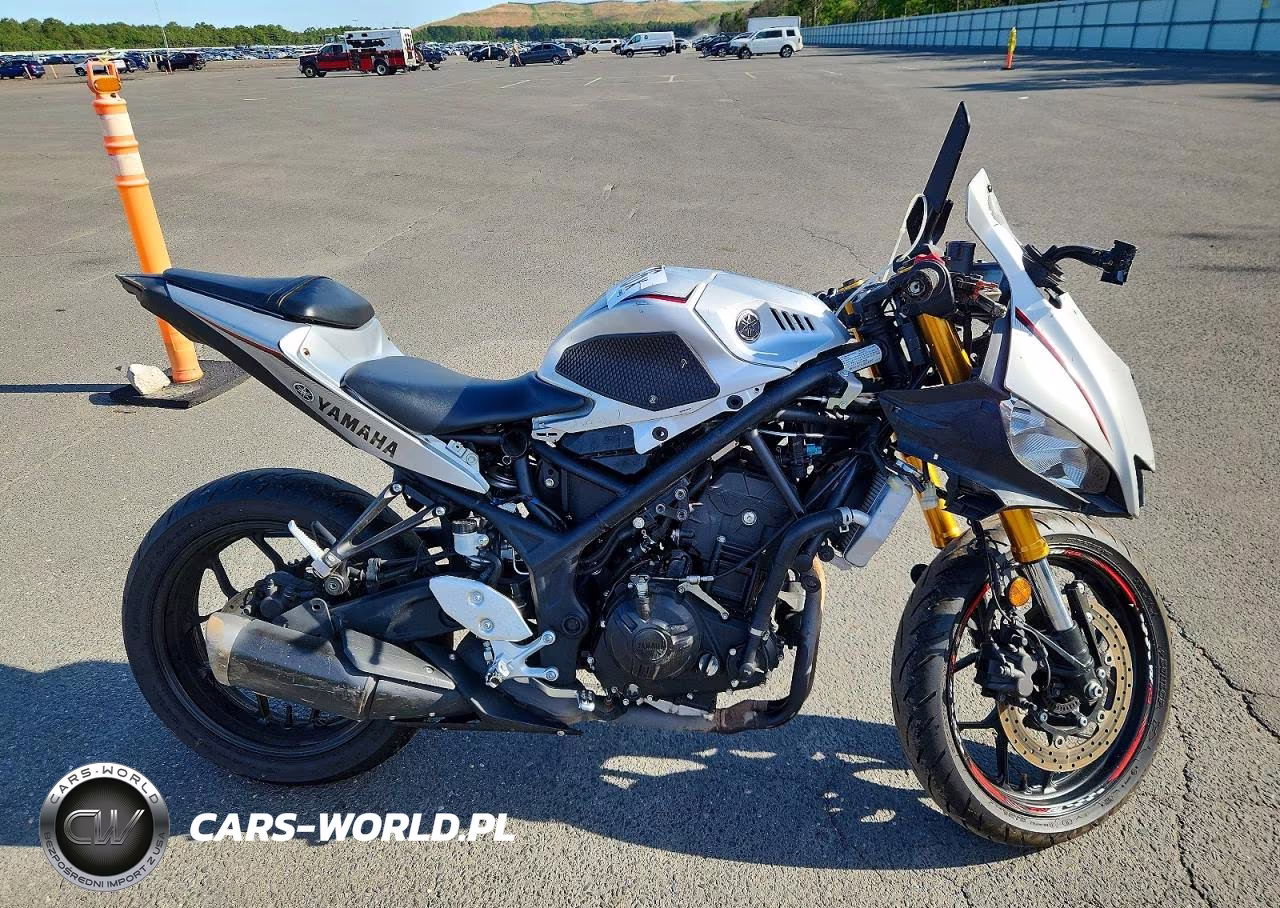 2020 Yamaha Yzf R3