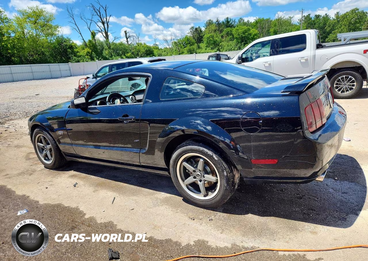 2006 Ford Mustang Gt VIN:1ZVHT82H365228269 - 2