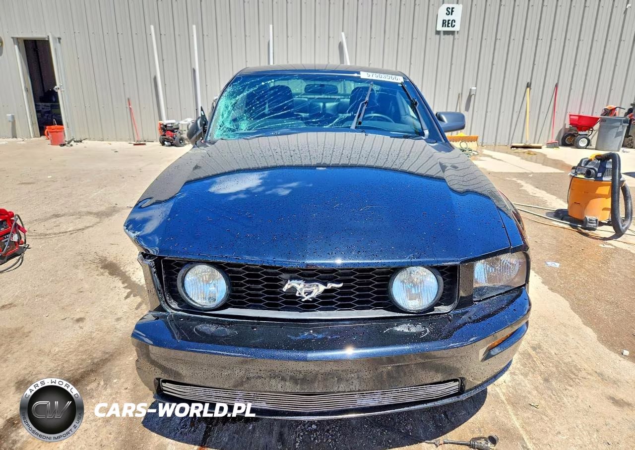 2006 Ford Mustang Gt VIN:1ZVHT82H365228269 - 5