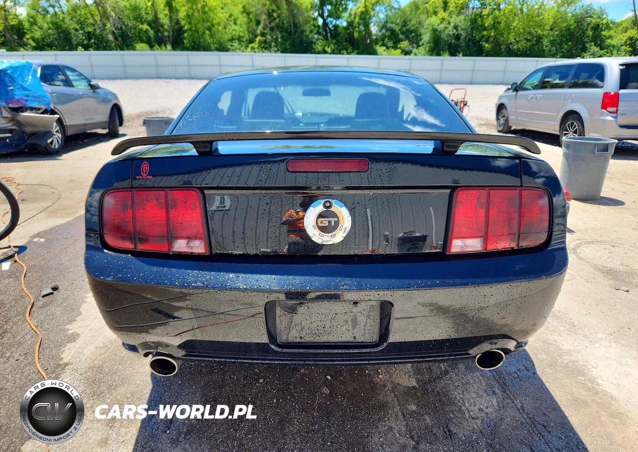 2006 Ford Mustang Gt VIN:1ZVHT82H365228269 - 6