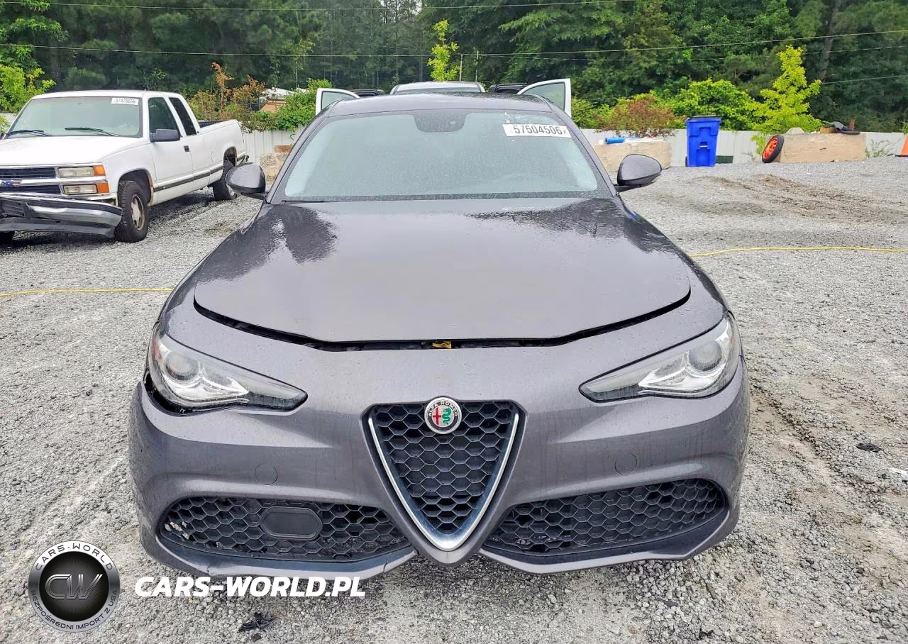 2018 Alfa Romeo Giulia VIN:ZARFAEBN8J7566273 - 5