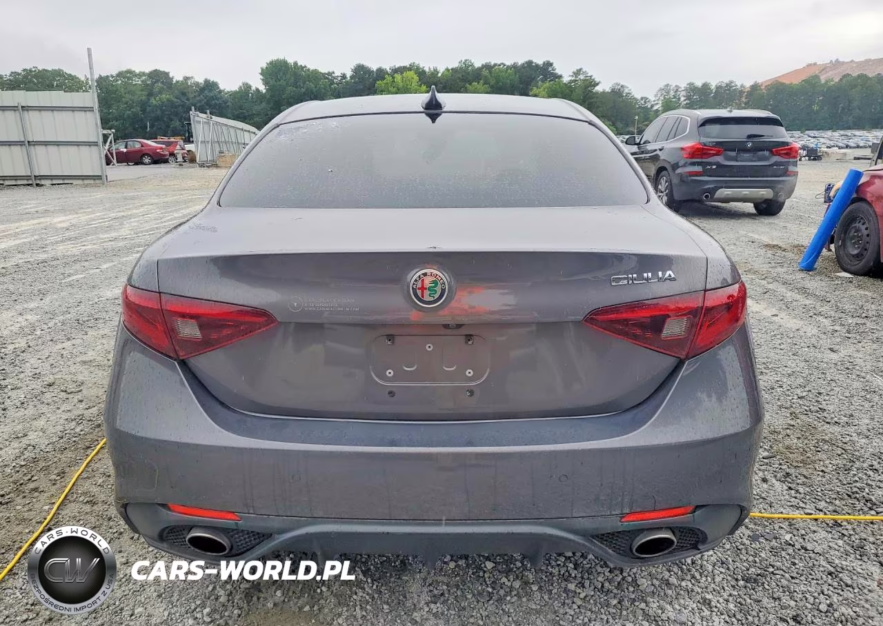 2018 Alfa Romeo Giulia VIN:ZARFAEBN8J7566273 - 6