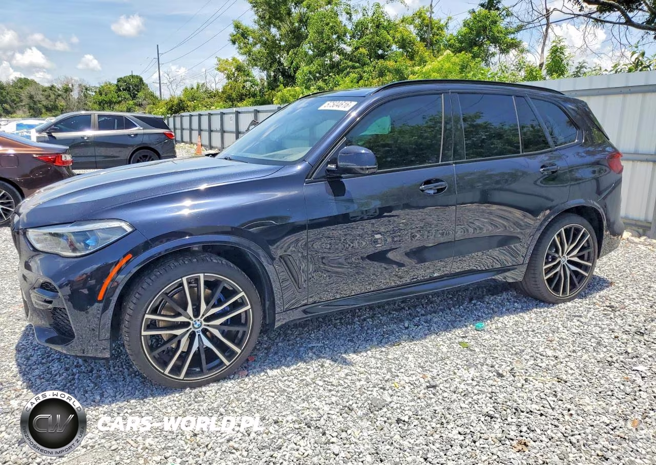 2022 BMW X5 xDrive40I – zdjęcie 1 z 13
