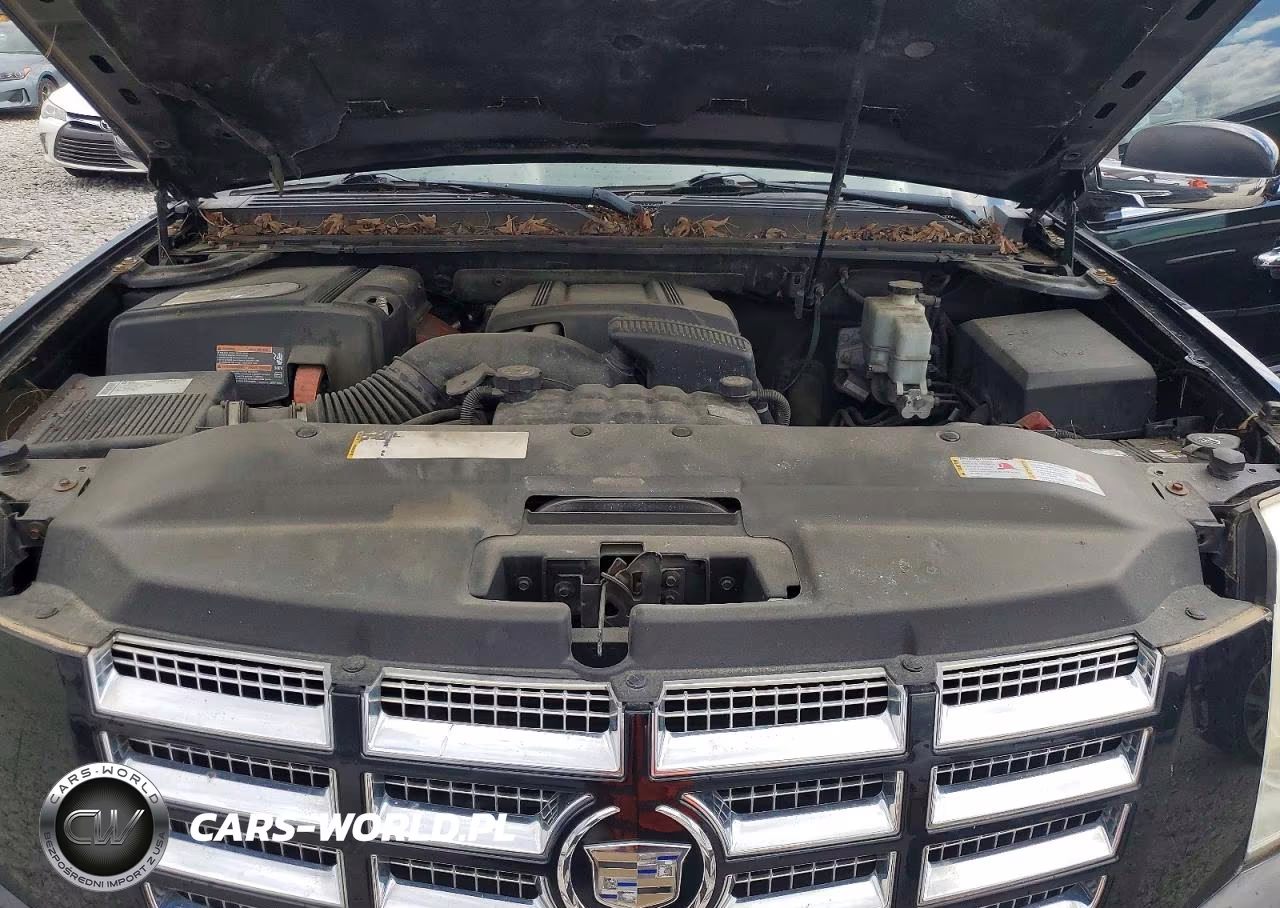 2009 Cadillac Escalade Hybrid VIN:1GYFK43599R125505 - 12