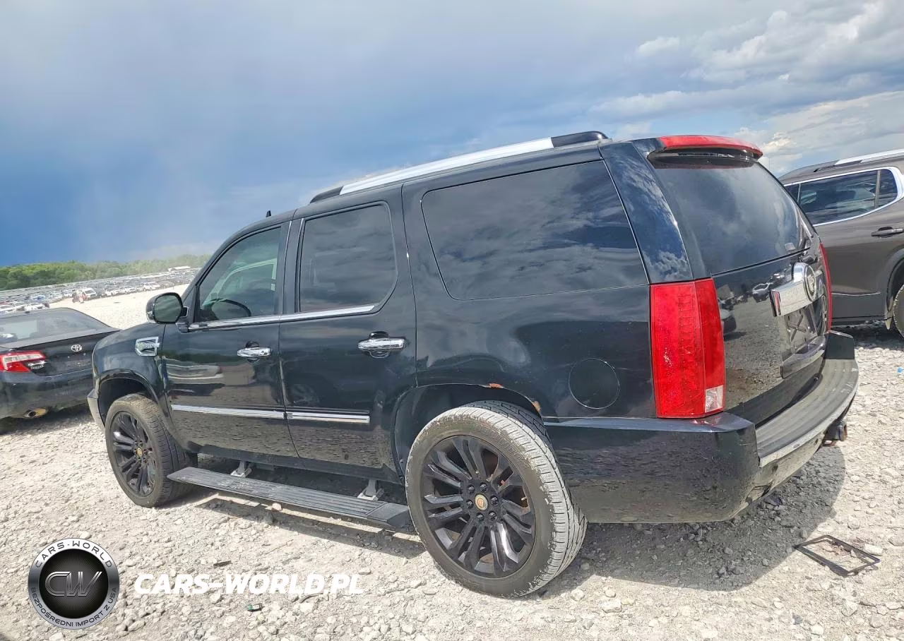 2009 Cadillac Escalade Hybrid VIN:1GYFK43599R125505 - 2