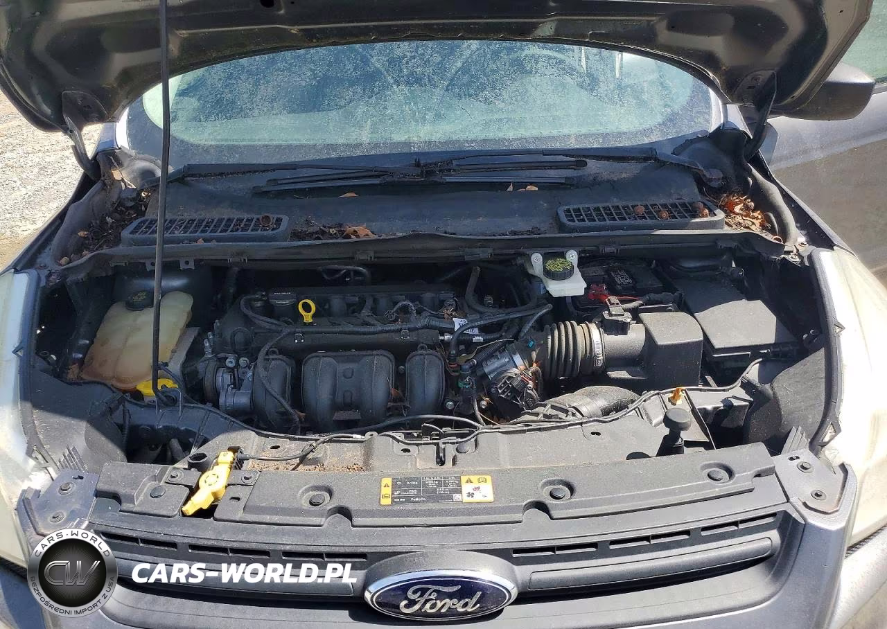 2014 Ford Escape S VIN:1FMCU0F76EUC41725 - 11