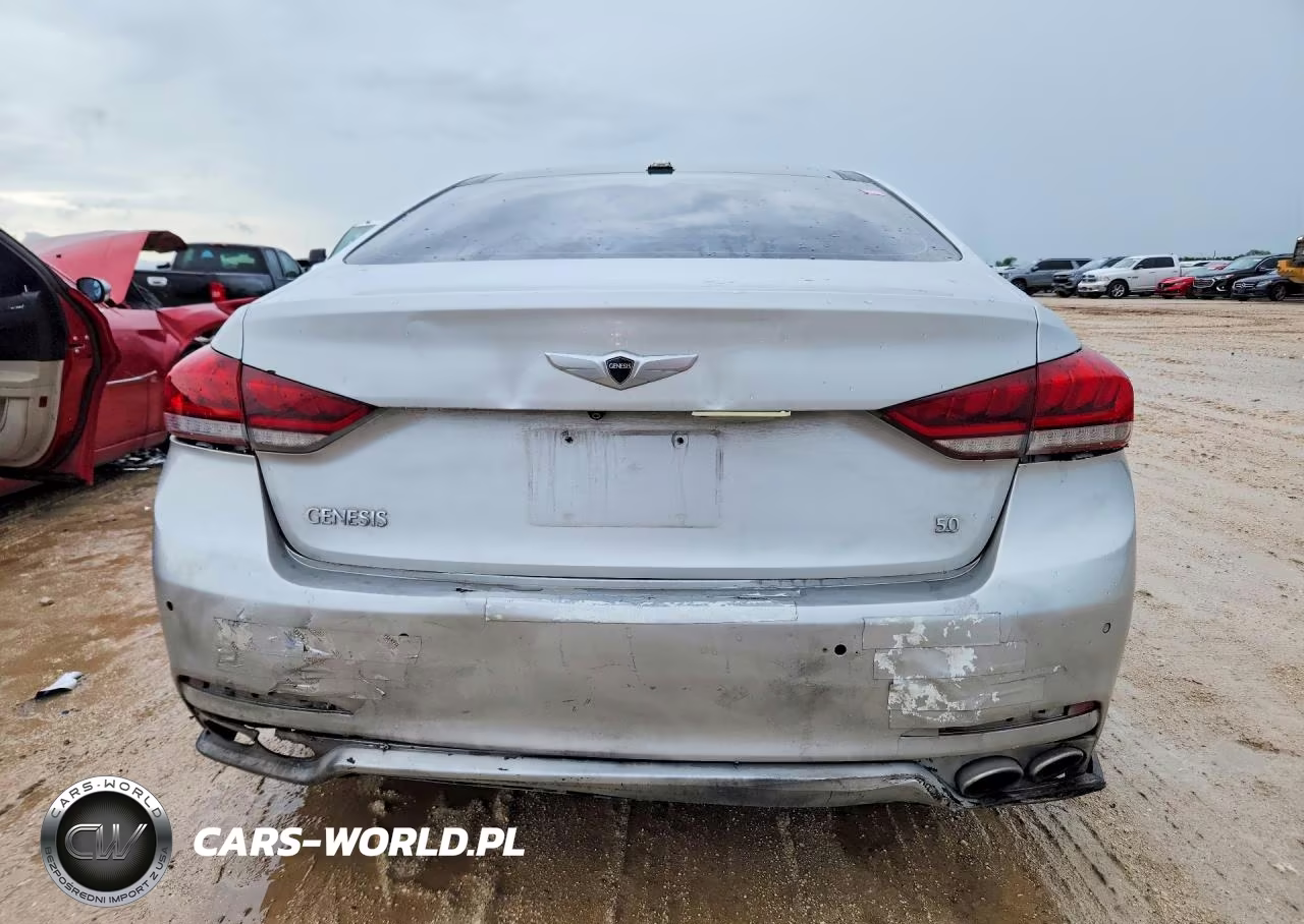 2015 Hyundai Genesis 5.0L VIN:KMHGN4JF9FU067154 - 6
