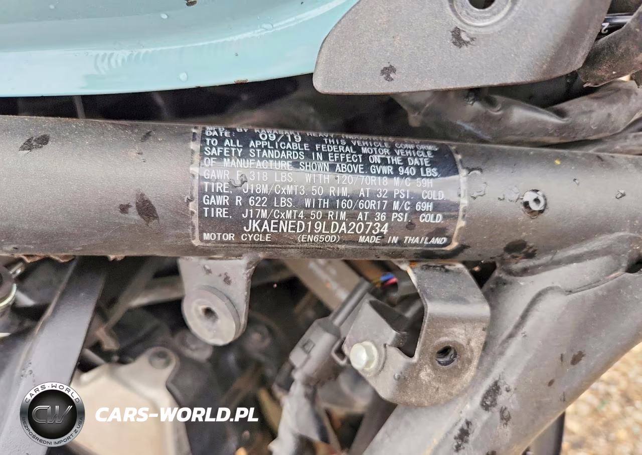 2020 Kawasaki En650 D VIN:JKAENED19LDA20734 - 10