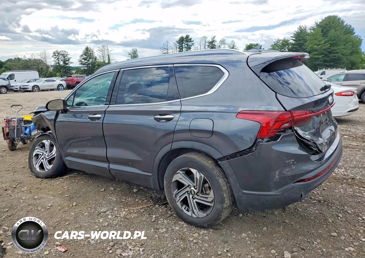 2023 Hyundai Santa Fe Sel VIN:5NMS2DAJ5PH605336 - 2