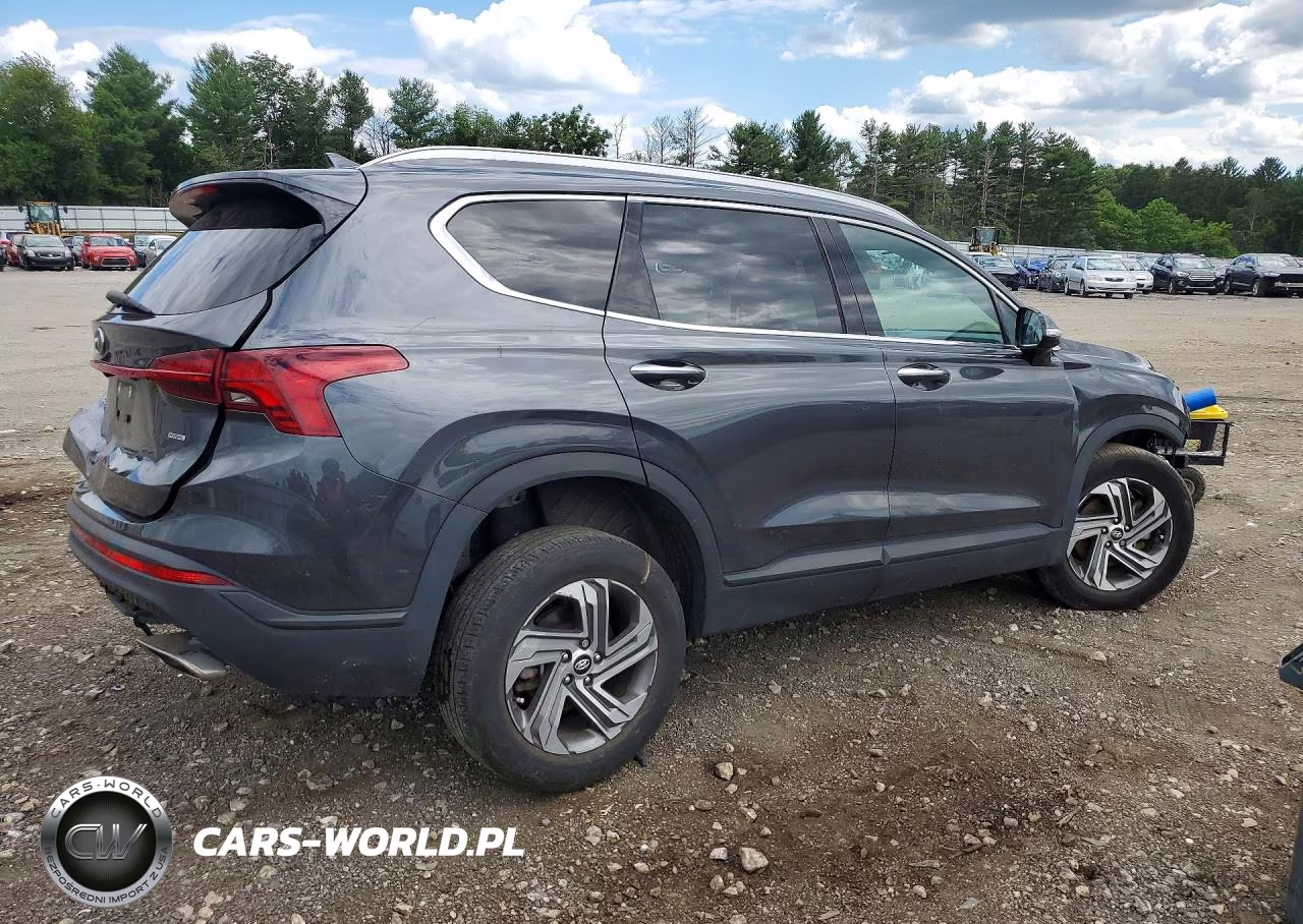 2023 Hyundai Santa Fe Sel VIN:5NMS2DAJ5PH605336 - 3