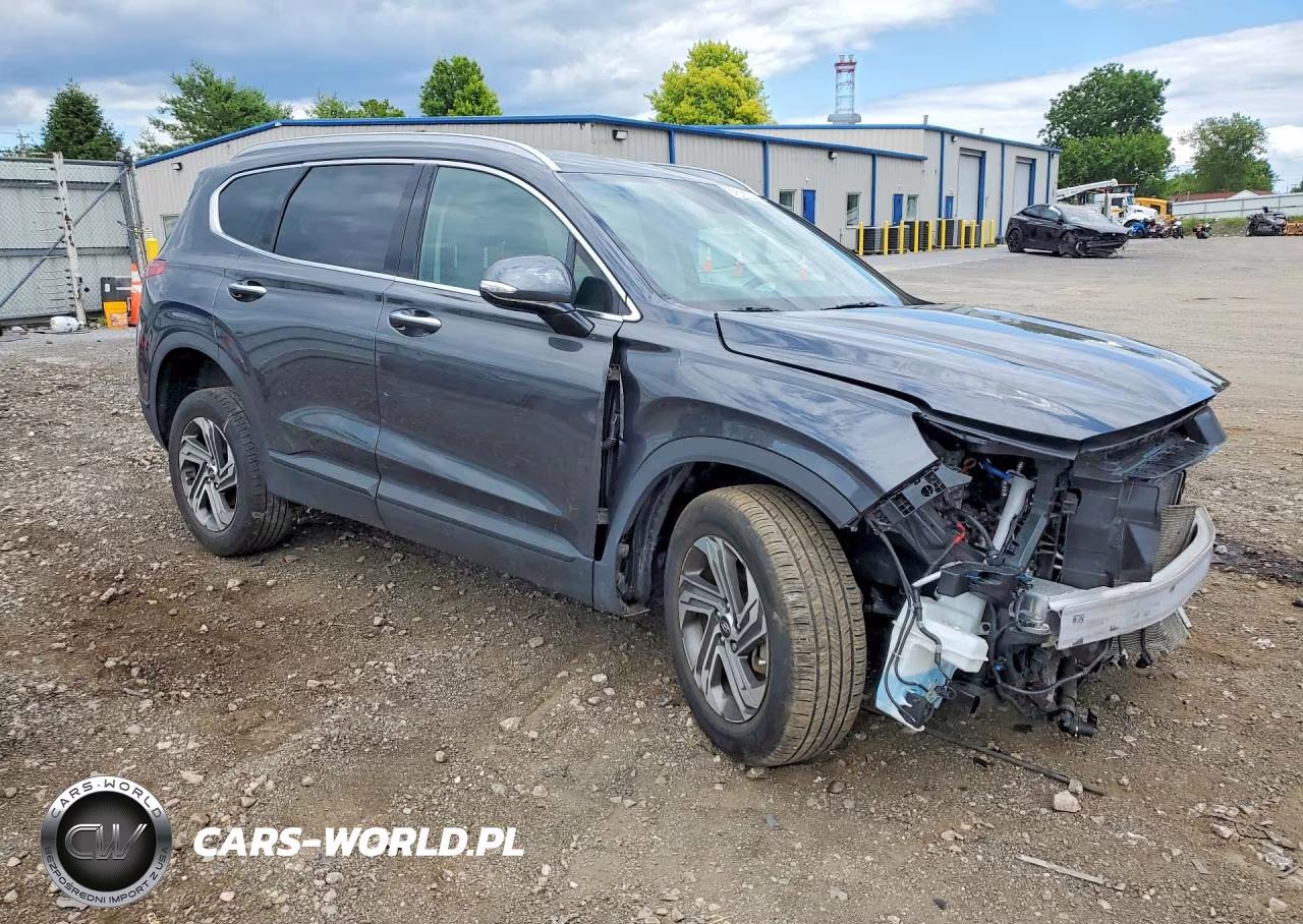 2023 Hyundai Santa Fe Sel VIN:5NMS2DAJ5PH605336 - 4