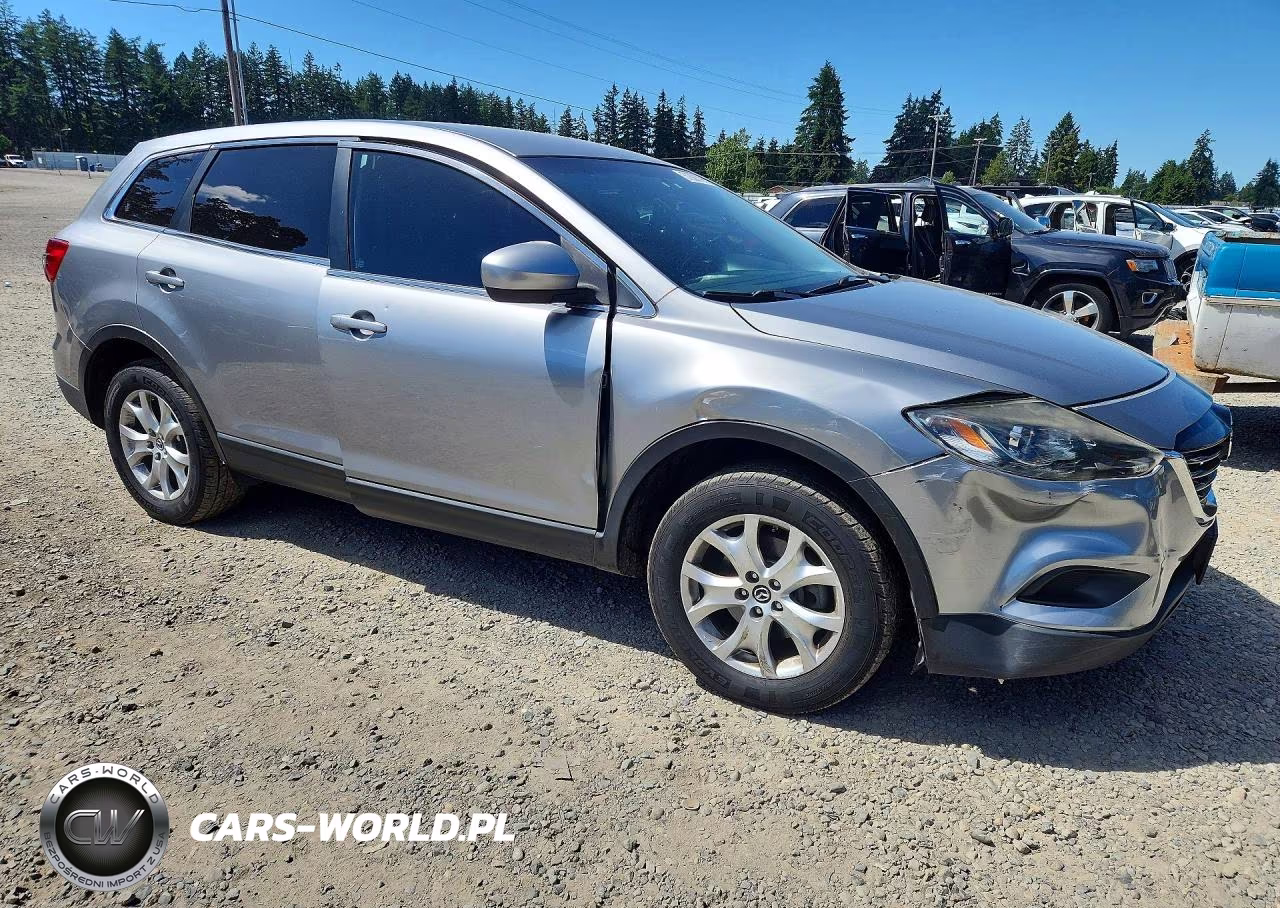 2013 Mazda Cx-9 Touring VIN:JM3TB3CV7D0411103 - 4