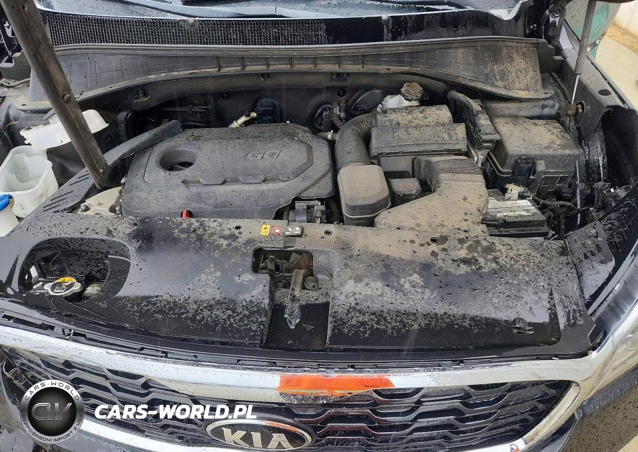 2019 Kia Sorento Lx VIN:5XYPG4A39KG464833 - 12
