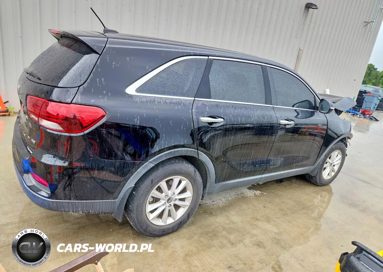 2019 Kia Sorento Lx VIN:5XYPG4A39KG464833 - 3