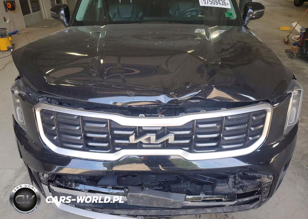 2024 Kia Telluride S VIN:5XYP6DGC0RG467026 - 12