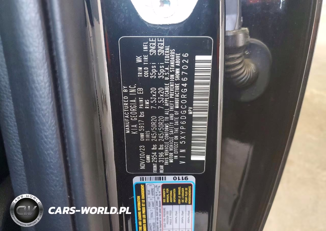 2024 Kia Telluride S VIN:5XYP6DGC0RG467026 - 13