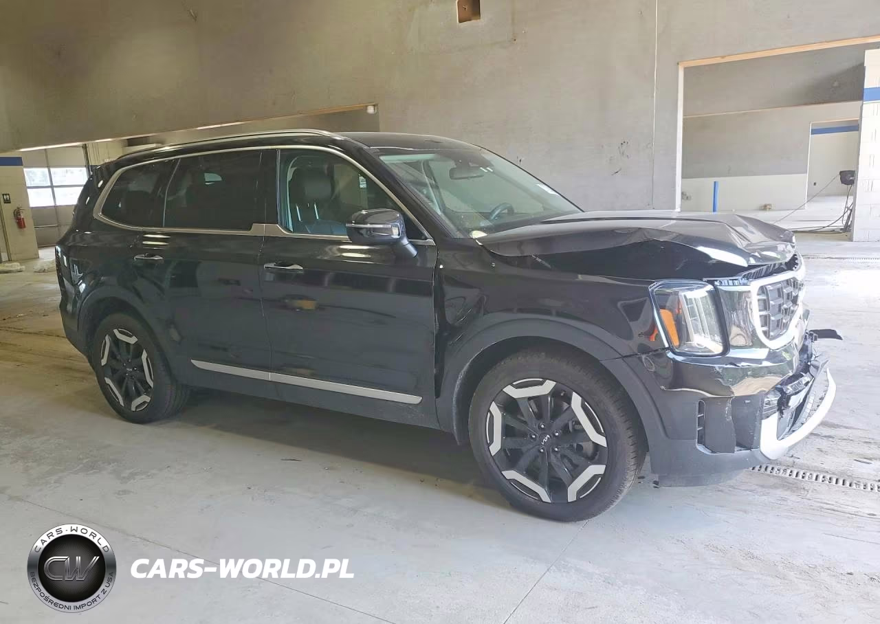 2024 Kia Telluride S VIN:5XYP6DGC0RG467026 - 4