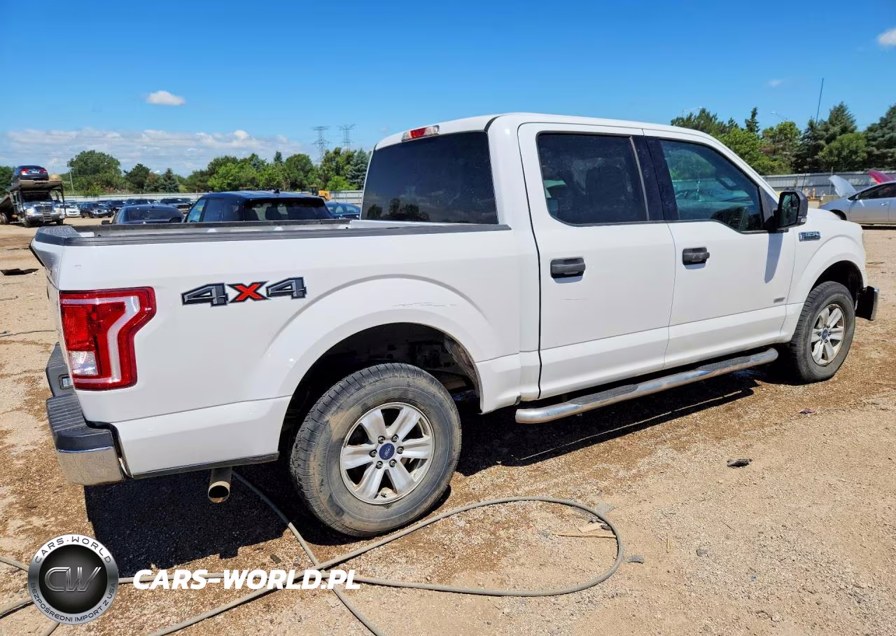 2017 Ford F150 Supercrew VIN:1FTEW1EPXHFB30750 - 3