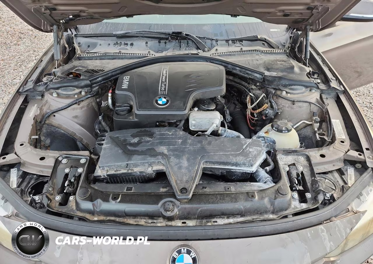 2013 BMW 320 I VIN:WBA3B1C52DF462645 - 11