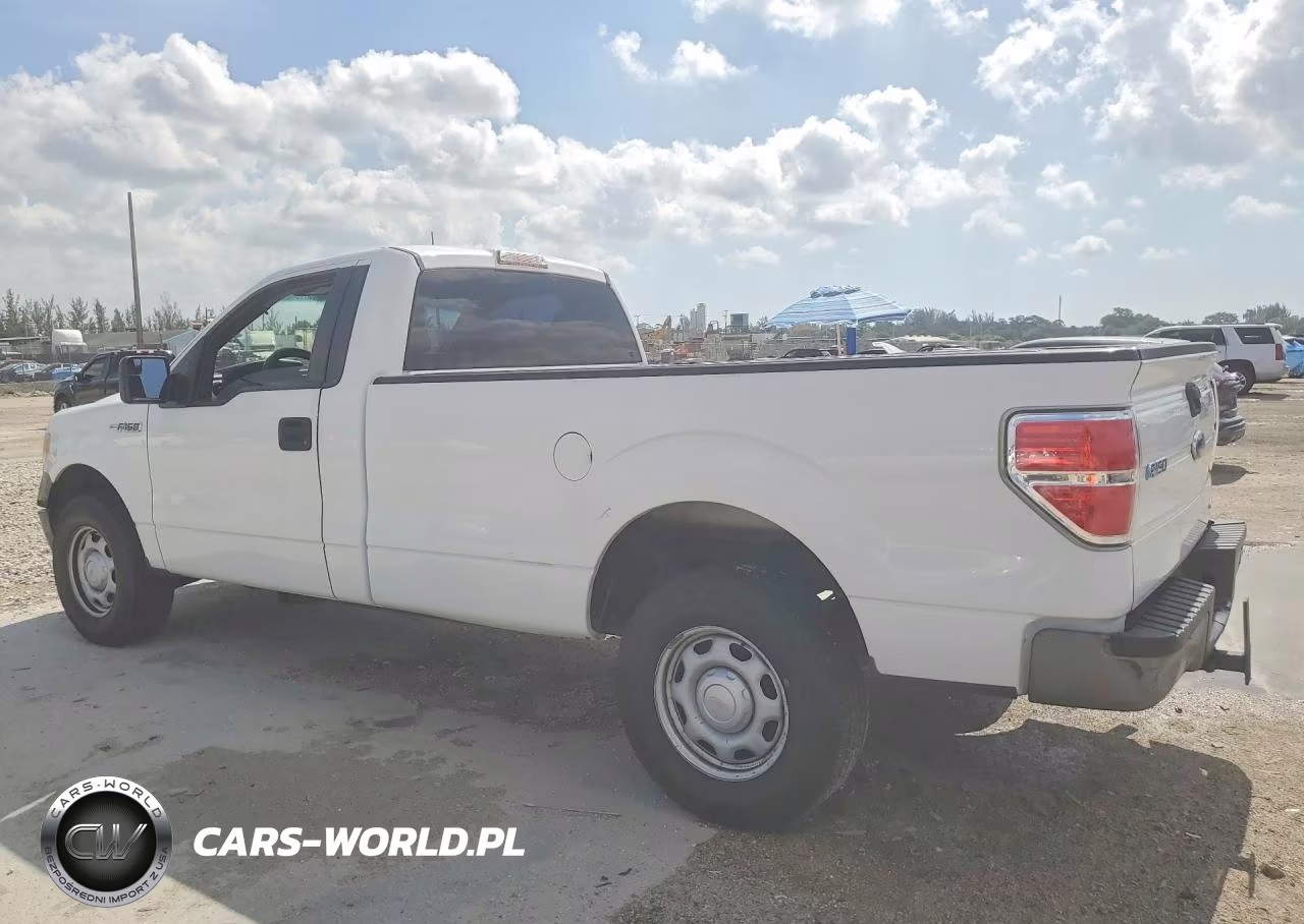 2013 Ford F150 VIN:1FTMF1CM5DKD73503 - 2