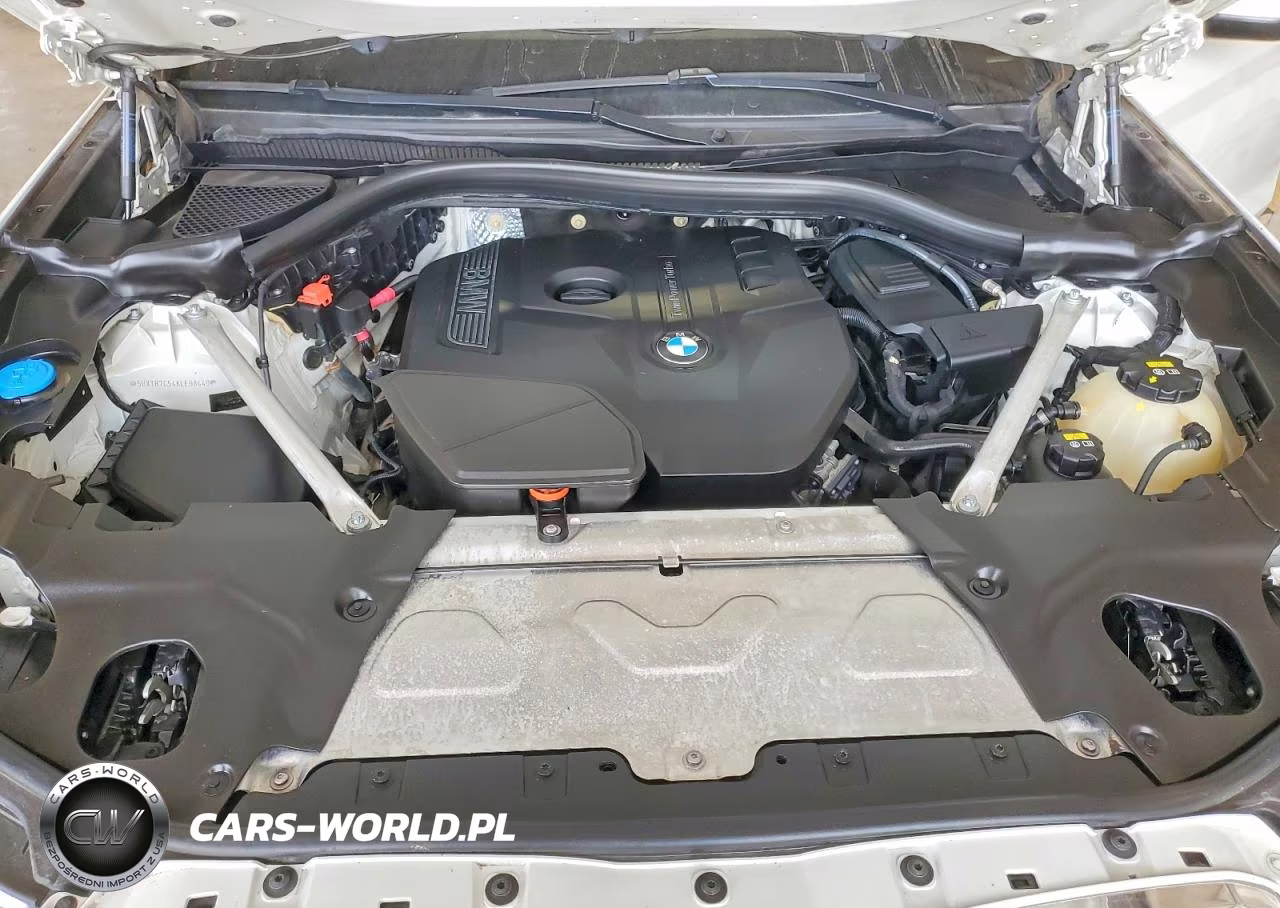2019 BMW X3 Sdrive30I VIN:5UXTR7C54KLE98449 - 12