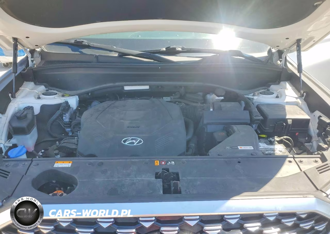 2021 Hyundai Palisade Calligraphy VIN:KM8R7DHE2MU201869 - 11