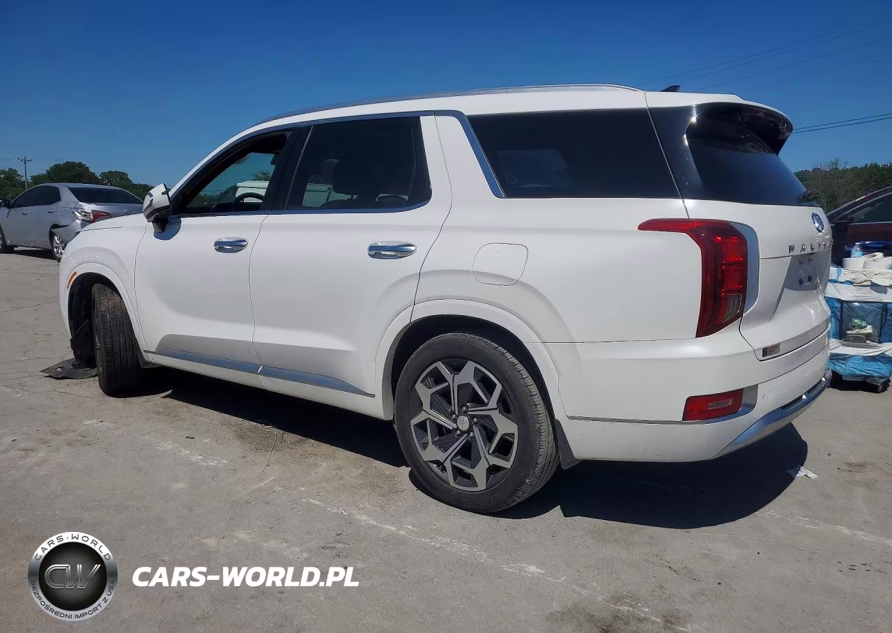 2021 Hyundai Palisade Calligraphy VIN:KM8R7DHE2MU201869 - 2